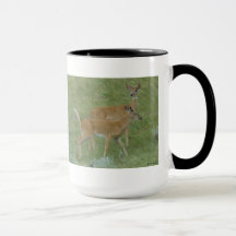 D6 White-tail Deer Young Bucks