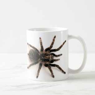 Caneca da aranha do Tarantula