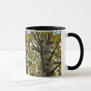 Caneca da árvore do sicômoro