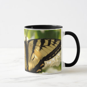 Caneca da borboleta