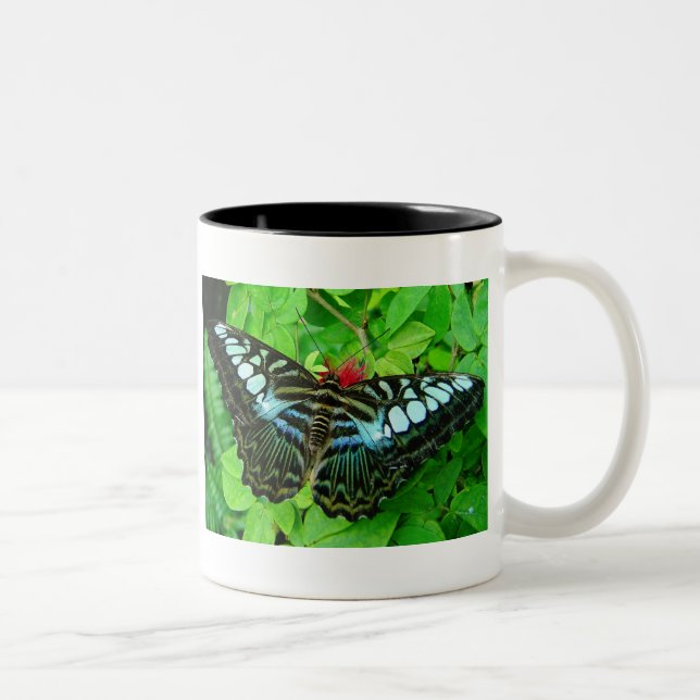 Caneca da borboleta (Direita)