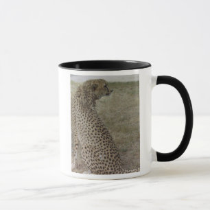 Caneca da chita