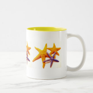 Caneca da estrela do mar do verão