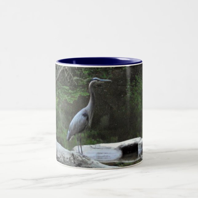 Caneca da garça-real de grande azul (Centro)