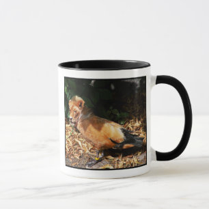 Caneca da sorte