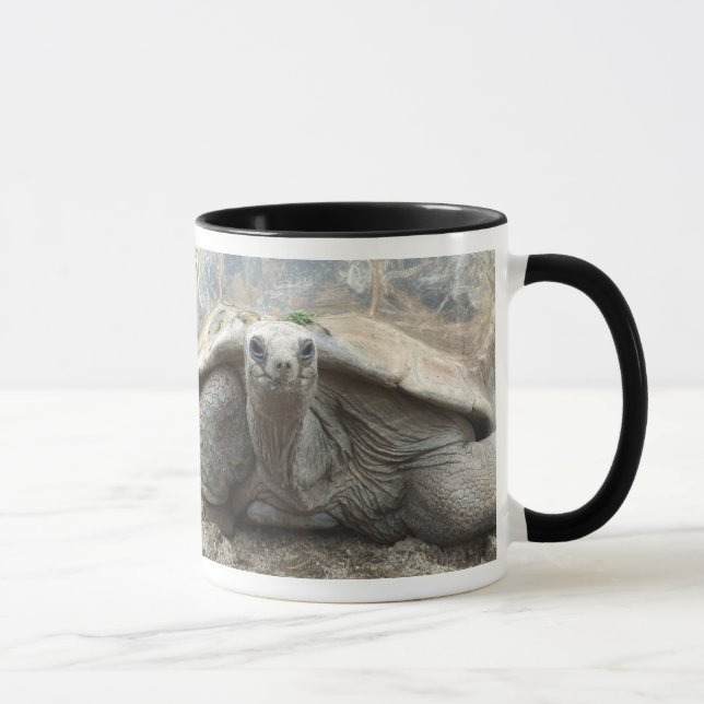 Caneca da tartaruga de Galápagos (Direita)