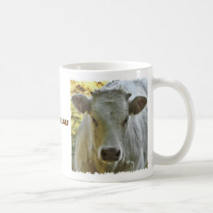 Caneca da vaca do charolês
