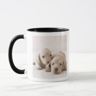 Caneca Dachshund de duas miniaturas