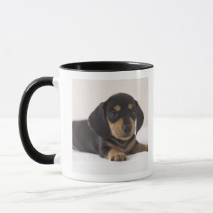 Caneca Dachshund diminuto