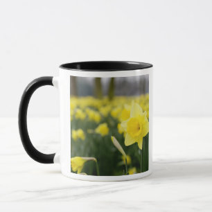 Caneca Daffodilos (RF)