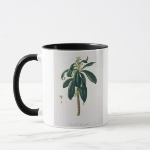 Caneca Daphne Laureda de "Phytographie Medicale" por Jos