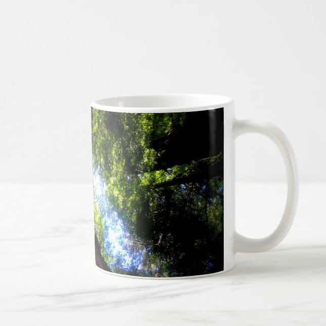 Caneca das madeiras de Muir (Direita)