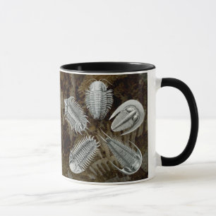 Caneca de 5 Trilobites