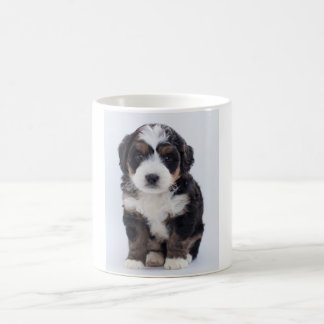 Caneca de Bernedoodle