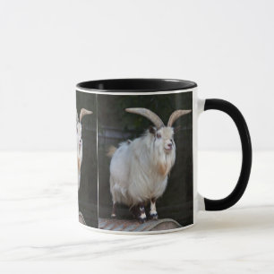 Caneca de Cabra Anã Africana