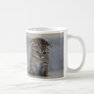 CANECA DE CAFÉ スコティッシュフォールド子猫　マグカップ