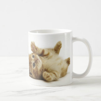 CANECA DE CAFÉ マルチカン子猫　マグカップ