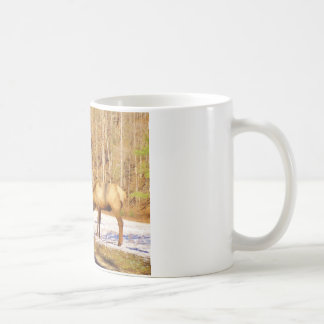 Caneca De Café 2~ 2 Bull Elk na neve
