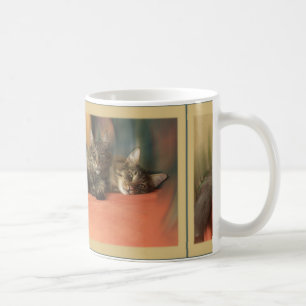 Caneca De Café 2 gatos da floresta norueguesa deitados