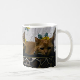 Caneca De Café 2Cats