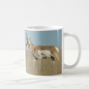 Caneca De Café A44 Pronghorn Antelope Bucks