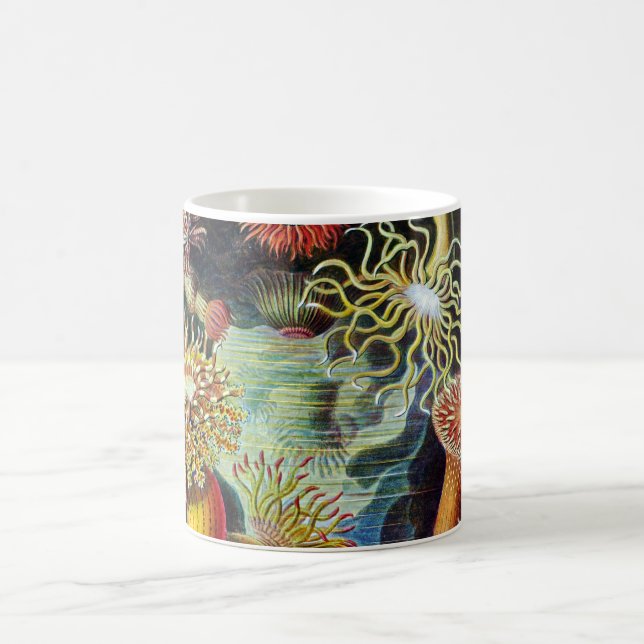 Caneca De Café a arte da natureza por Ernst Haeckel (Centro)