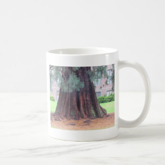 Caneca De Café A árvore