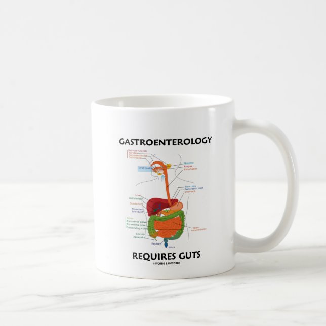 Caneca De Café A gastroenterologia exige a entranhas (o sistema (Direita)