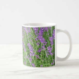 Caneca De Café A lavanda roxa floresce a fotografia