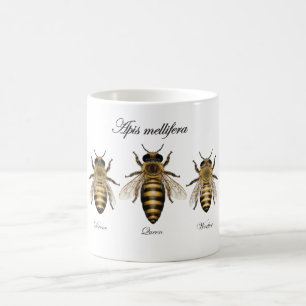 Caneca De Café Abelha européia do mel (mellifera dos Apis)