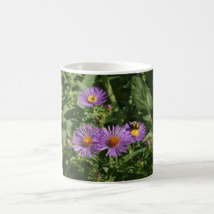 Caneca De Café Abelhas Trabalhando Em Aster Blossomo