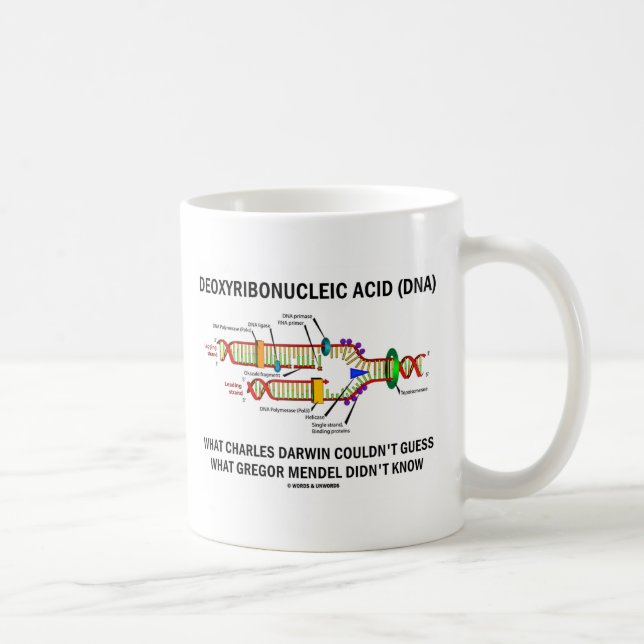 Caneca De Café Ácido desoxirribonucleico (ADN) Mendel Darwin (Direita)
