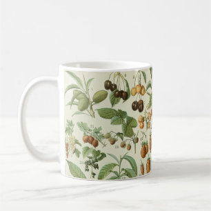 Caneca De Café Adolphe Millot - Frutas