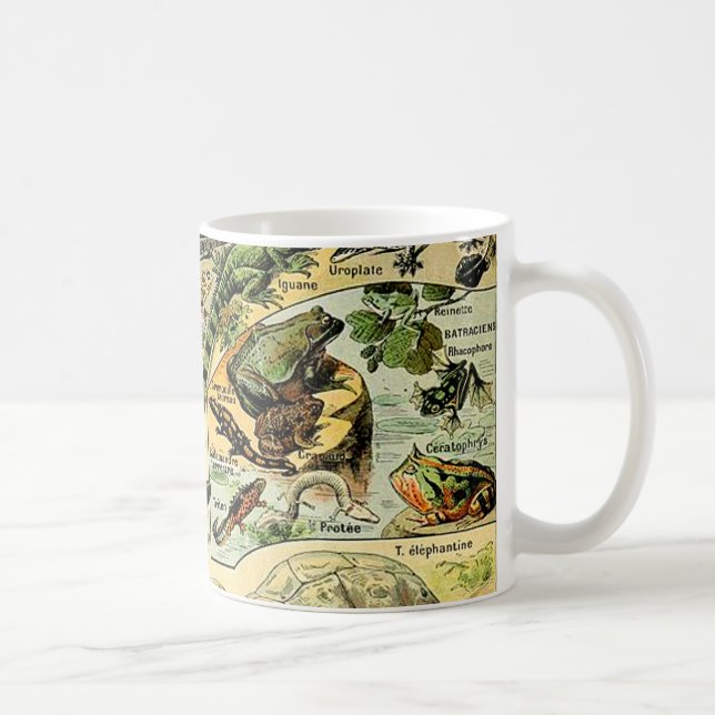 Caneca De Café Adolphe Millot Reptiles 2 Coffee Mug (Direita)