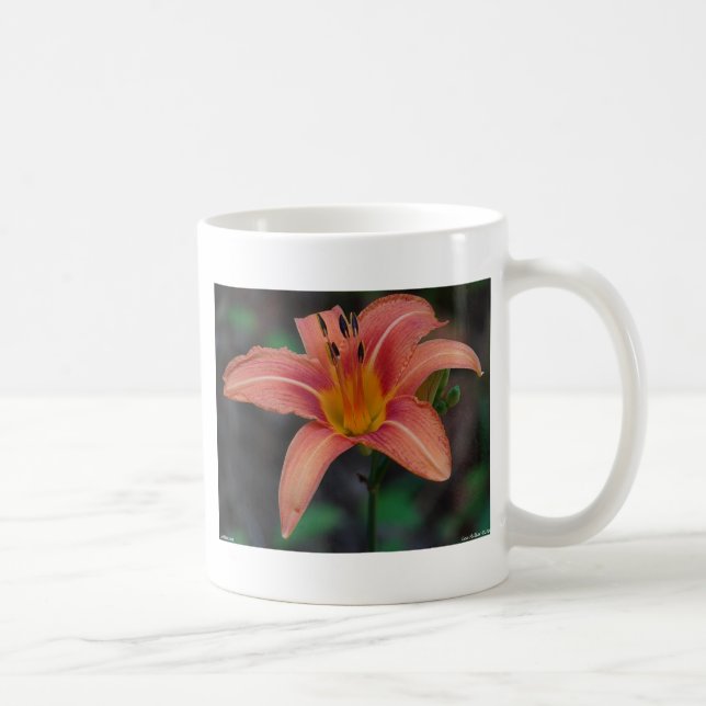 Caneca De Café Adorável Tawny Daylily Roupa e presentes (Direita)