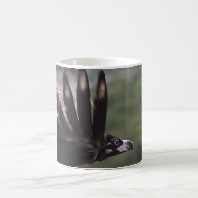 Caneca De Café Aegypius monachus (Centro)