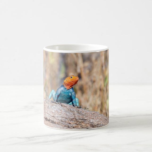 Caneca De Café Agama comum (Centro)