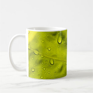 Caneca De Café Água cai na folha verde