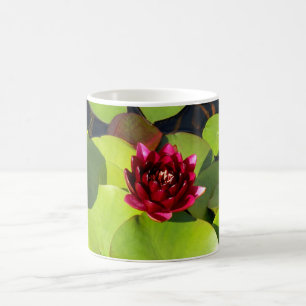Caneca De Café Água Lily Mug