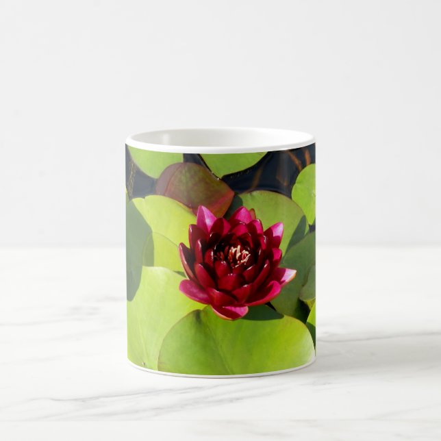 Caneca De Café Água Lily Mug (Centro)
