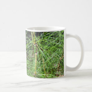 Caneca De Café Agulhas de pinheiro por Kenneth Yoncich