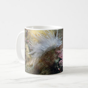Caneca De Café Alabaster Nudibranch