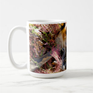 CANECA DE CAFÉ ALGAS