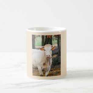 Caneca De Café Alimentação de vacas na França