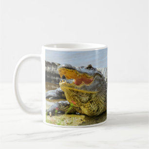 Caneca De Café Alligator. Cara a cara.