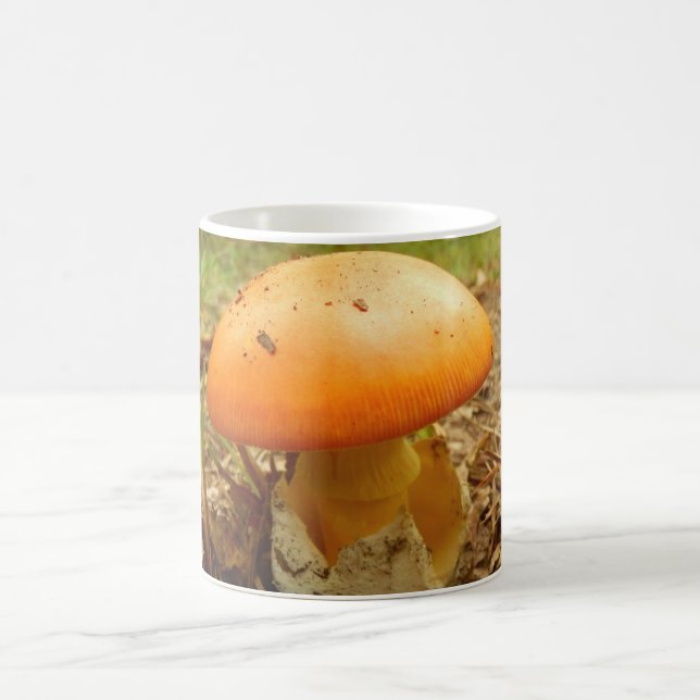 Caneca De Café Amanita Caesarea Mushroom (Centro)