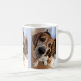 Caneca De Café Amante de Cachorro 3 Fotos Personalizadas