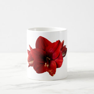 Caneca De Café Amaryllis, flor vermelha