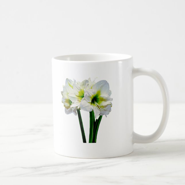 Caneca De Café Amaryllis Green Princess (Direita)
