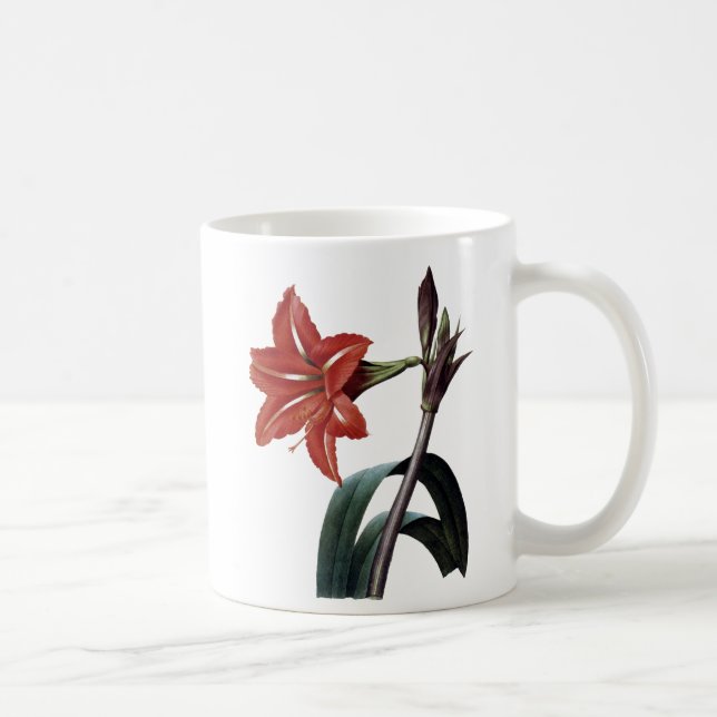 Caneca De Café Amaryllis listrado (Direita)